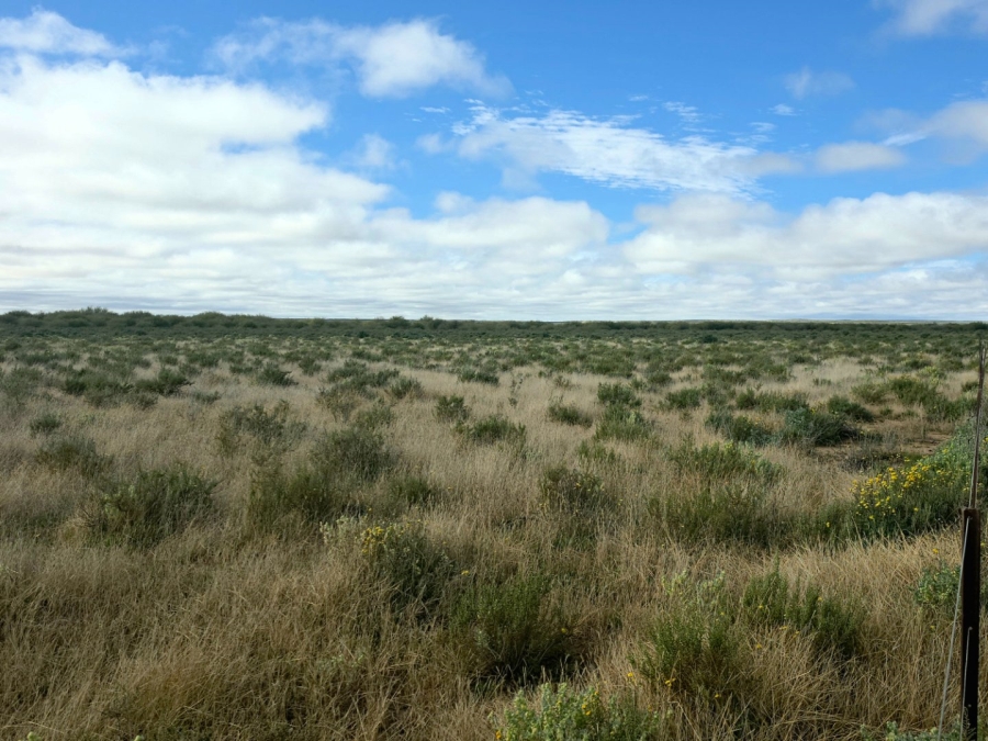 Commercial Property for Sale in Carnarvon Rural Northern Cape